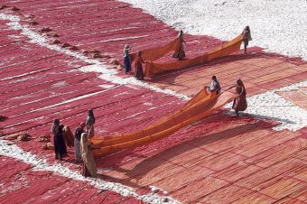 Gefärbte Saris werden zum Trocknen ausgelegt (Indien)