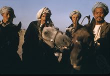 Horsemen lining up for the equestrian sport of buzkashi
