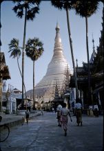 The Shwedagon Pagoda in Rangoon