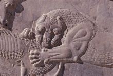 Wall relief in Persepolis