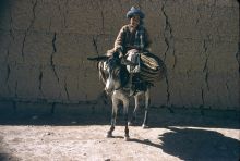 Ein Junge mit seinem Esel in Dar-Sheban