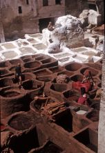 Leather tanneries in Marrakesh