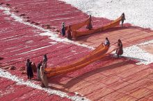 Dyed Saris in India - near Ahmedabad